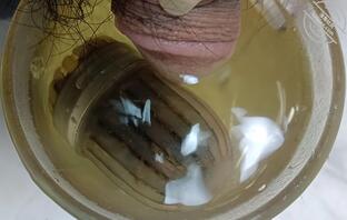 难过 这辈子什么时候能肏到她们母女1