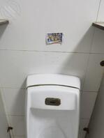 打印母狗，贴在公厕里供人欣赏0