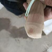 每次来丈母娘家都有收获，爽歪歪。2