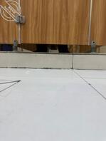 昌邑骚逼佳乐家1