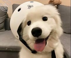 亳州谯城区找骚母狗1