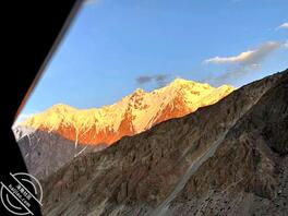 找母狗，南阳新野1