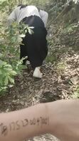 野战颜射骚逼坦克学生妹一碰就出水干的哇哇叫，射在脸上是格外刺激