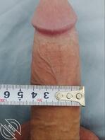 出差台州寻找阿姨