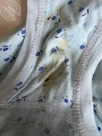 同学老婆的原味内裤2