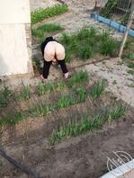 这块葱地算是他妈完了1