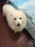 1.女儿想聊聊前女友,一只捉摸不透蓉!(伊始)0