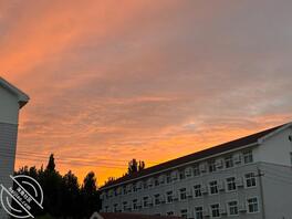 准备好干表妹的工具了0