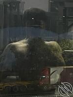 南昌男大，有一起玩的搭子嘛？