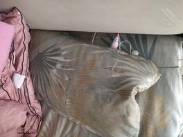 妈妈枕头下的宝贝