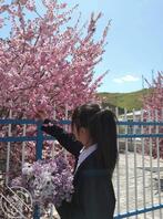 看着很嫩，实际也很嫩