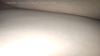 今天细说一下绿帽母猪的一些情况，放在绿帽视频板块，请大家多多交流