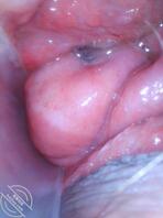 性感美女的阴道内部长什么样呢0