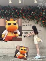 郑州极品学生妹可包养