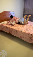 趁爸妈出门后，立马强奸姐姐，亲姐越反抗操的越厉害