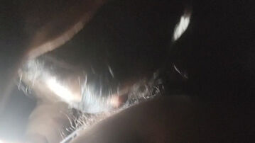 校园母狗野外给我口