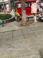 冬日街拍黑丝白丝、JK嫩妹2