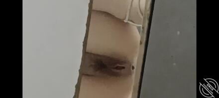 火锅店发现两枚极品美女 两闺蜜人美逼也美 下面毛发稀疏感觉很嫩的样子2