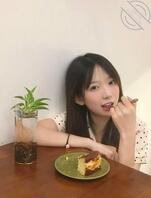 日常更新还是随心更新？