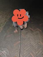 露出拍照，天台和公园，白天和夜晚1