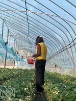 亲舅妈，想看她穿上女仆JK 服侍室友们，谁会操作吗0