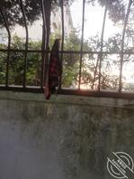 谁的内裤挂在这里没人收走