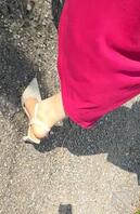 更新,大姨子来我家,摸了扣了用鸡顶了她的屁股,露出鸡巴给她看了…她好像…2