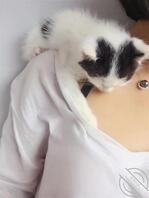 骚老婆身高165 50 曾经背着我和两个男人玩过3p  坐标郑州 需要的2