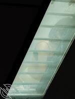 回家无意发现邻居洗澡2