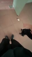  惊险！午休时间把舅妈拉近无人办公室口交，差点被发现