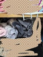 丈母娘不在家，机会来了1