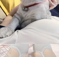 楠楠撸猫的一天~~