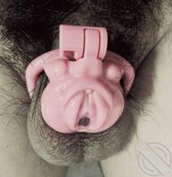 回忆母子往事八(第一次回家,母亲很开心)2