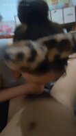 淫妻口活