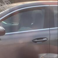 发现公司附近高冷女神的秘密1