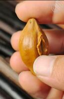 年前最后一批 有兴趣的来0