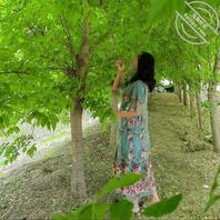 （原创）丈母娘聊天，有希望2