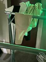 下次全把它带回家！0