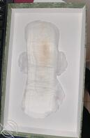 骚香味的姨妈巾好爱  顺便收藏一下这些美人的逼毛0