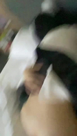 小猫