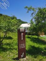 我和嫂子的故事0