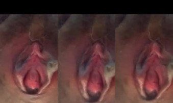 一生只爱东北悍妇