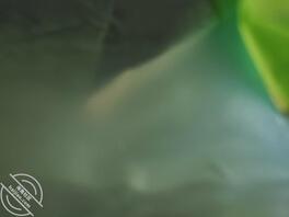 来个饥渴母狗榨干坚挺大屌0