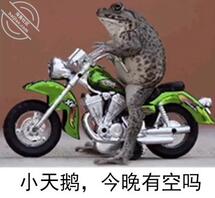 冠县寻少妇，女大，女高0