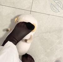 小狗狗快来舔脚脚1