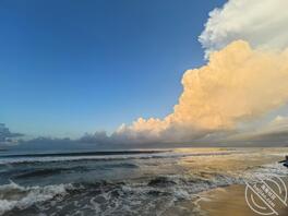 郑州，寻人妻，小学妹，处女，可有偿2