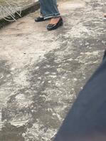 姑姑的骚脚穿咖色丝袜 好想搞一下1