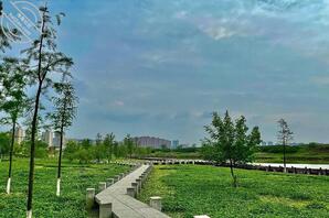 男神不理我了，我该怎么办。0