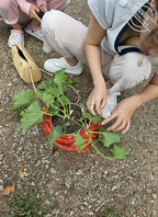 【暗水原创】36.成功约会雪姐,利用兵法左右逢源,我承认我有赌的成分1