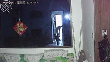 献妻2